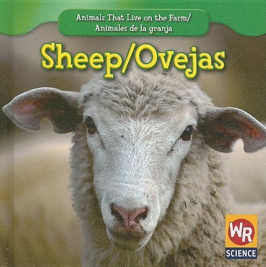 Sheep / Las Ovejas - Ingram