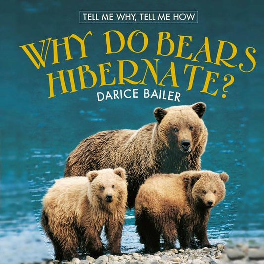 Why Do Bears Hibernate? - Ingram