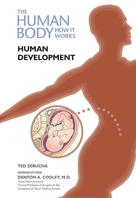 Human Development - Ingram