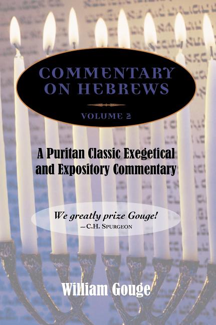 Commentary on Hebrews: Exegetical and Expository - Vol. 2 (8-13) - Ingram