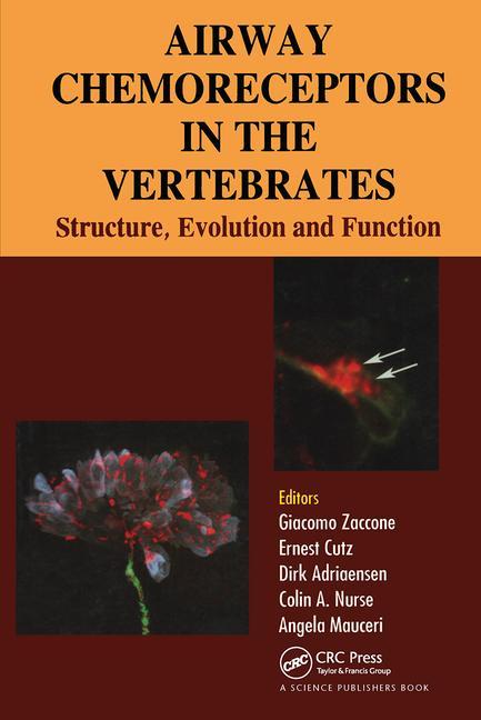 Airway Chemoreceptors in Vertebrates - Ingram