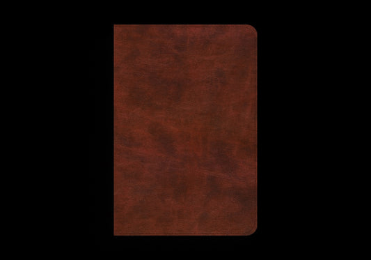 ESV Bible Promises: 700 Passages to Strengthen Your Faith (Trutone, Brown) - Ingram