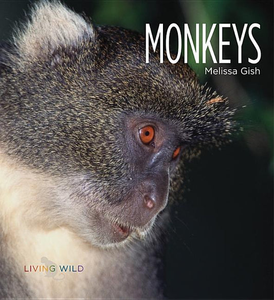 Monkeys - Ingram