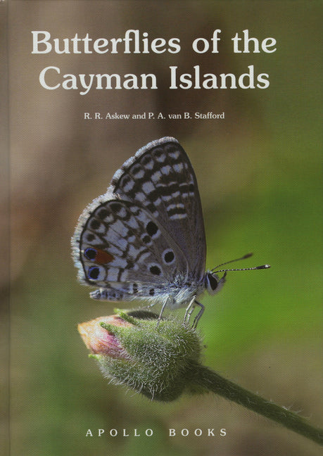 Butterflies of the Cayman Islands - Ingram