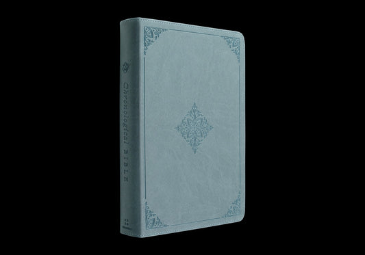 ESV Chronological Bible (Trutone, Paris Sky, Fleur-De-Lis Design) - Ingram