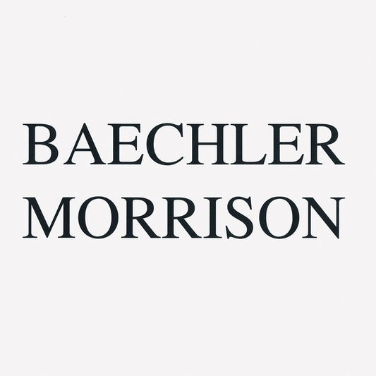Baechler & Morrison: Black and White Paintings - Ingram