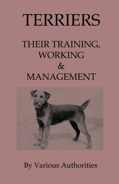 Terriers - Their Training, Work & Management - Ingram