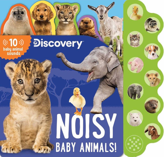 Discovery: Noisy Baby Animals! - Ingram