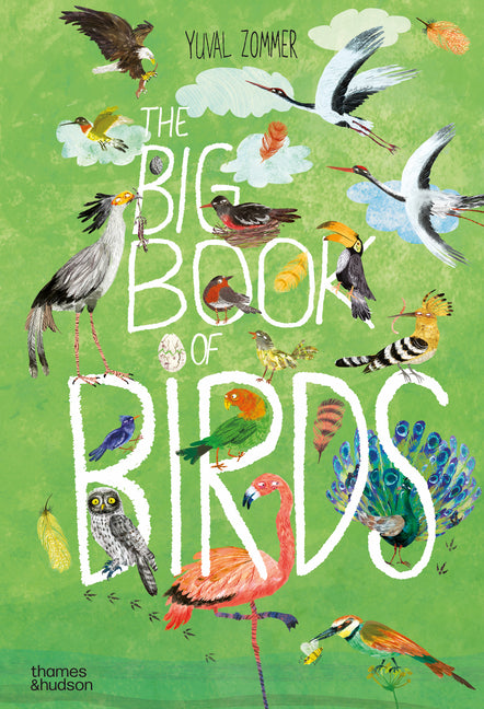 Big Book of Birds - Ingram