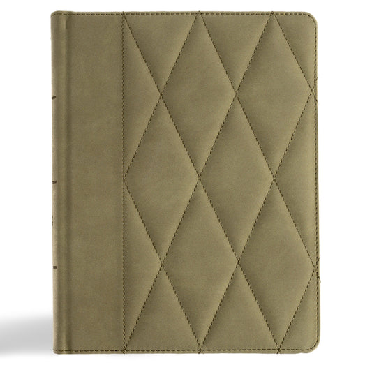 CSB Notetaking Bible, Large Print Edition, Sage Suedesoft Leathertouch Over Board - Ingram