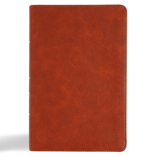 CSB Large Print Personal Size Reference Bible, Digital Study Edition, Burnt Sienna Leathertouch, Indexed (, Digital Study) - Ingram