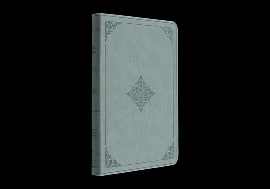 ESV Value Thinline Bible (Trutone, Paris Sky, Fleur-De-Lis Design) - Ingram