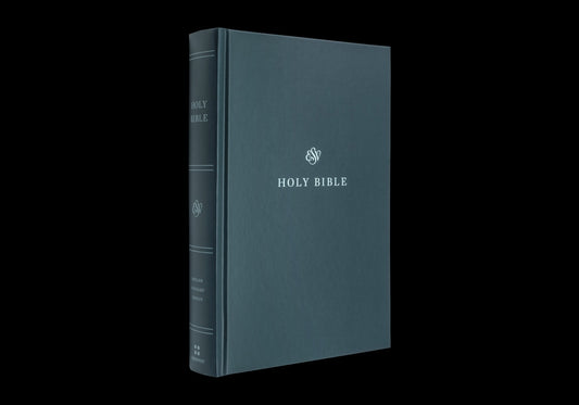 ESV Holy Bible: Dyslexia-Friendly Edition (Hardcover) - Ingram
