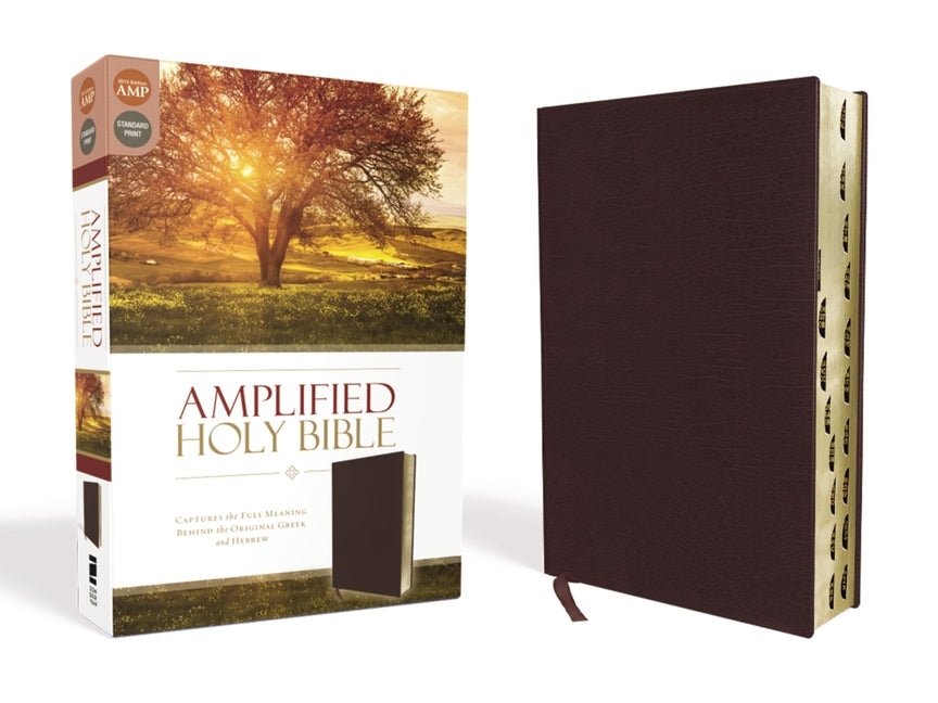 Amplified-Am: Captures the Full Meaning Behind the Original Greek and Hebrew - Ingram