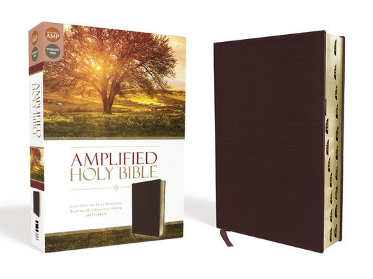 Amplified-Am: Captures the Full Meaning Behind the Original Greek and Hebrew - Ingram