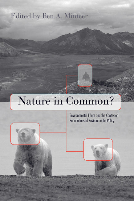 Nature in Common?: Environmental Ethics and the Contested Foundations of Environmental Policy - Ingram