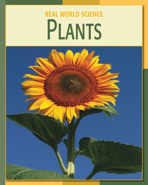 Plants - Ingram