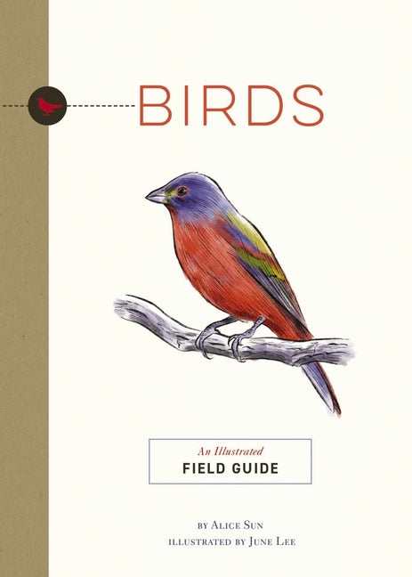 Birds: An Illustrated Field Guide - Ingram