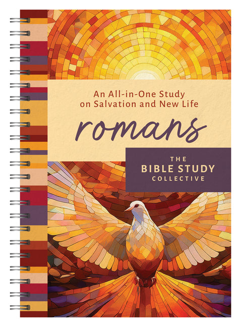 Romans: An All-In-One Study on Salvation and New Life - Ingram