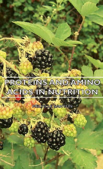 Proteins and Amino Acids in Nutrition - Ingram