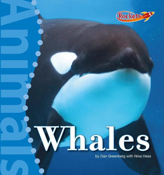 Whales - Ingram