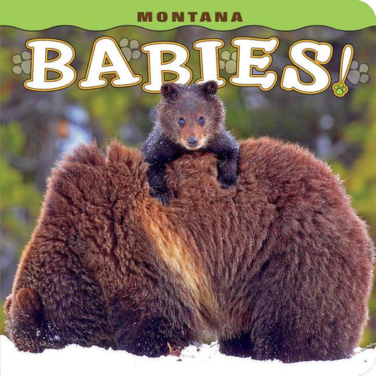 Montana Babies! - Ingram