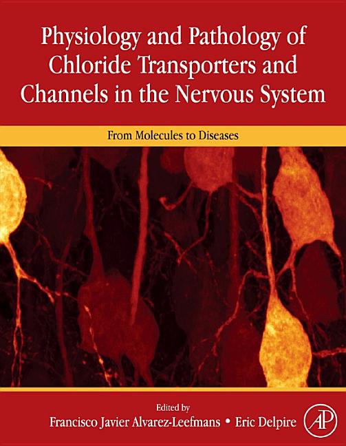 Physiology and Pathology of Chloride Transporters and Channels in the Nervous System: From Molecules to Diseases - Ingram