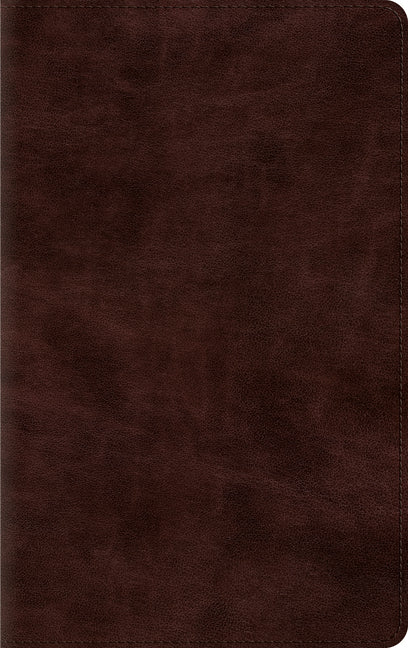 Thinline Bible-ESV - Ingram