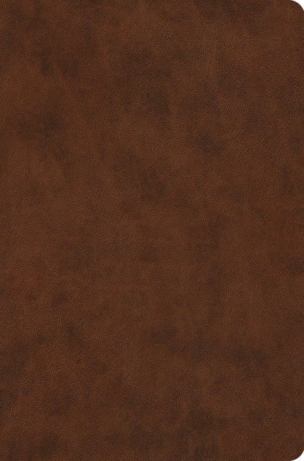 Value Compact Bible-ESV - Ingram