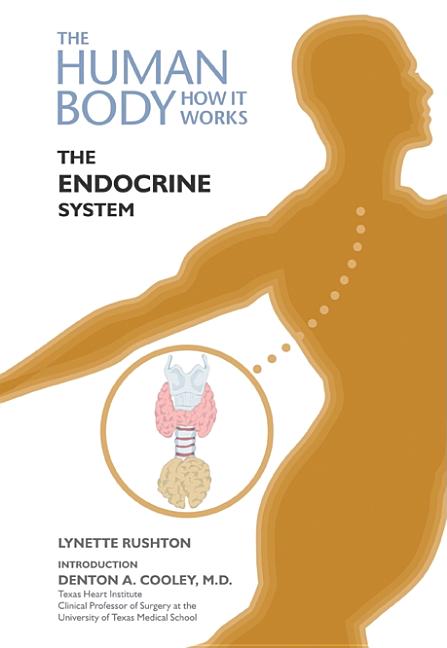 Endocrine System - Ingram