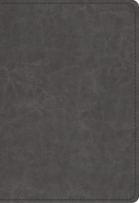 Student Study Bible-ESV - Ingram