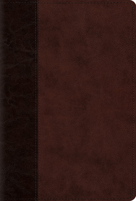 Psalms-ESV-Timeless Design - Ingram