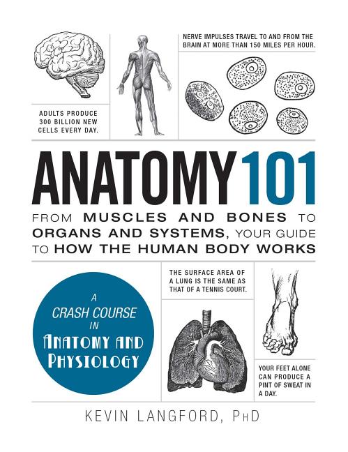 Anatomy 101: From Muscles and Bones to Organs and Systems, Your Guide to How the Human Body Works - Ingram