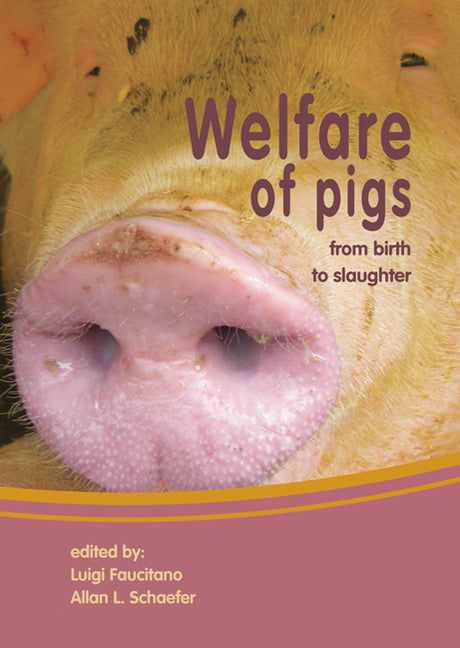 Welfare of pigs - Ingram