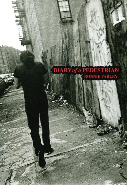 Diary of a Pedestrian: A New York Photo Memoir - Ingram