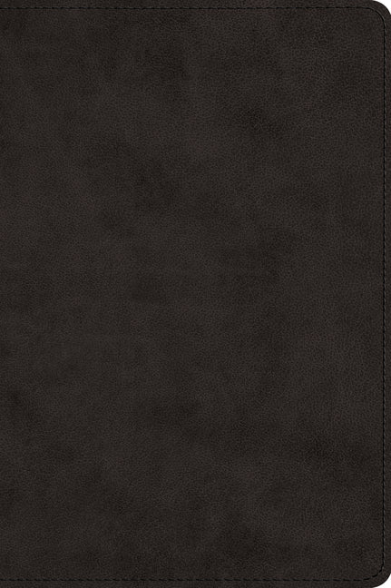 Large Print Bible-ESV - Ingram