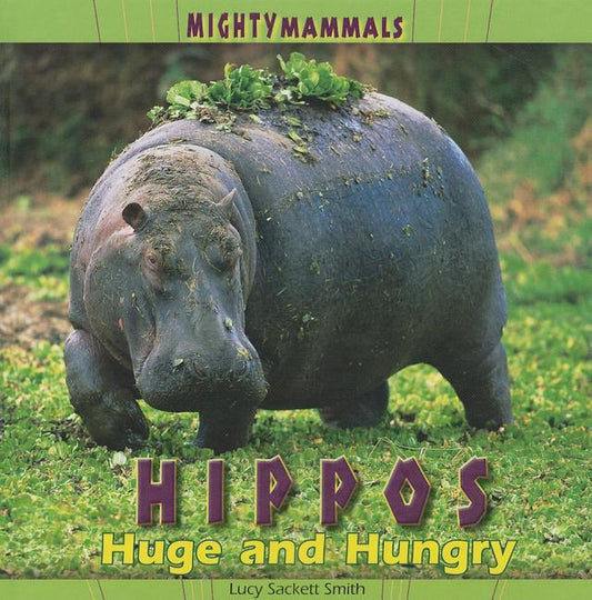 Hippos - Ingram