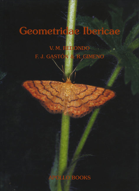 Geometridae Ibericae - Ingram