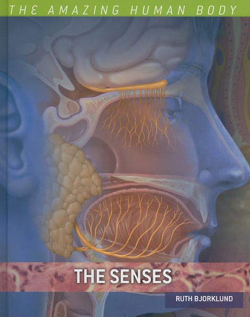 Senses - Ingram