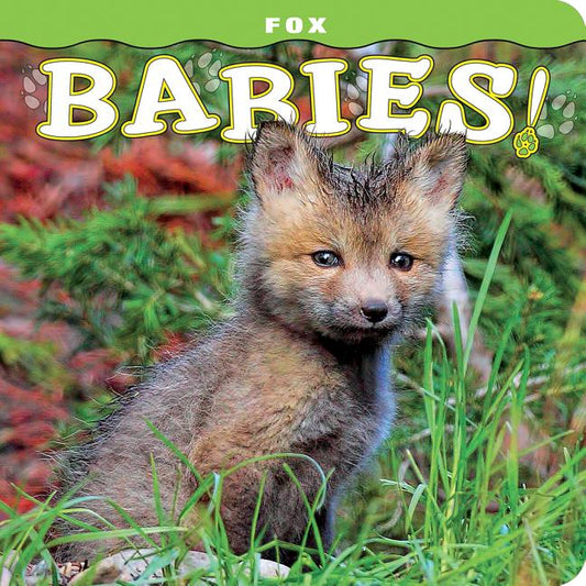 Fox Babies! - Ingram