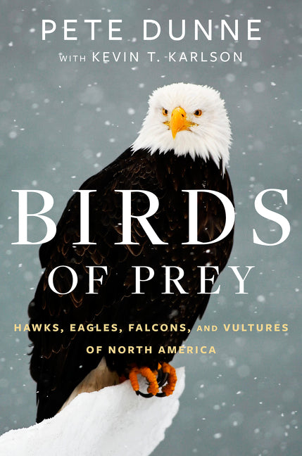 Birds of Prey: Hawks, Eagles, Falcons, and Vultures of North America - Ingram