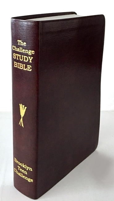 CEV Challenge Study Bible-Flexi Cover - Ingram