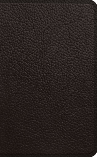 ESV Pocket Bible - Ingram