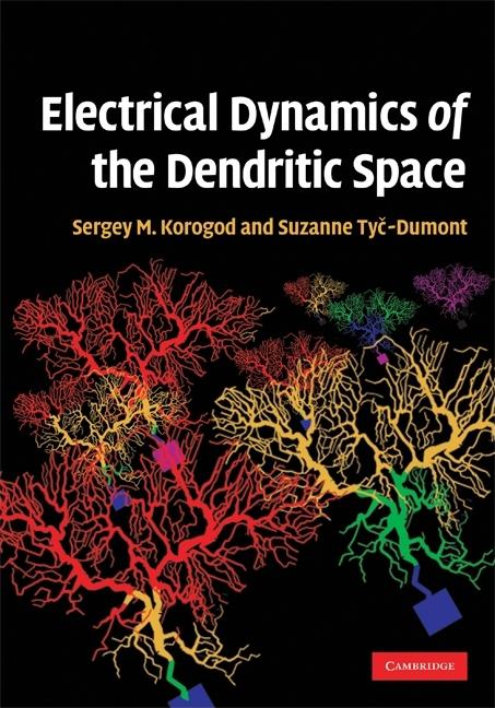 Electrical Dynamics of the Dendritic Space - Ingram