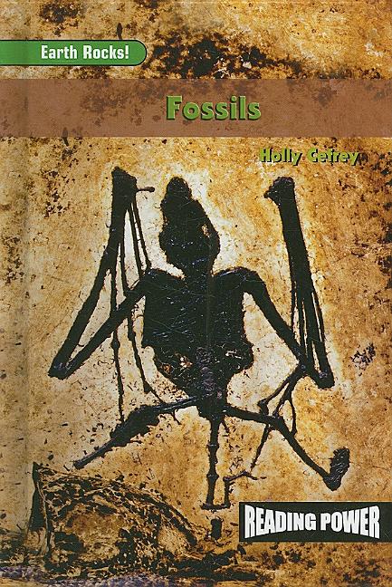 Fossils - Ingram