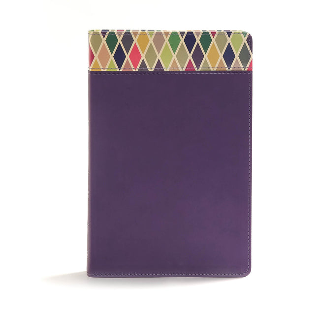 CSB Rainbow Study Bible, Purple Leathertouch - Ingram