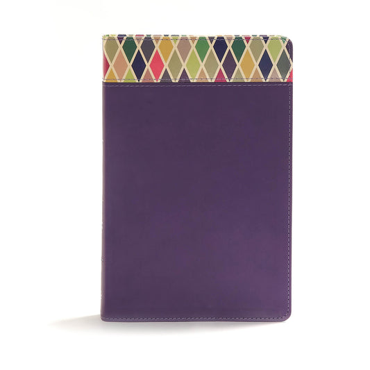 CSB Rainbow Study Bible, Purple Leathertouch - Ingram
