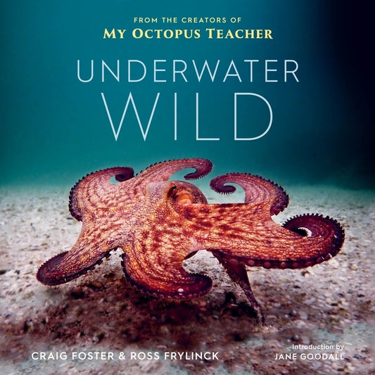 Underwater Wild: My Octopus Teacher's Extraordinary World - Ingram