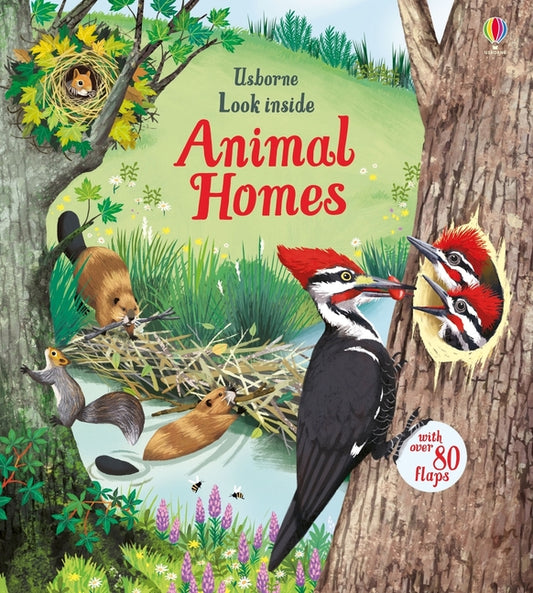Look Inside Animal Homes - Ingram