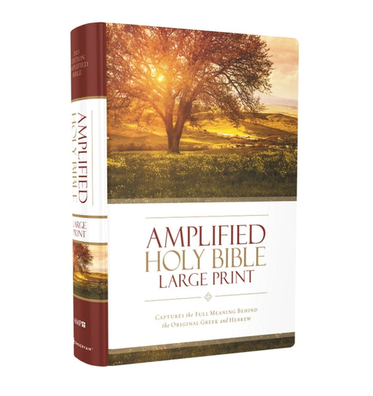Amplified Bible-Am-Large Print: Captures the Full Meaning Behind the Original Greek and Hebrew - Ingram